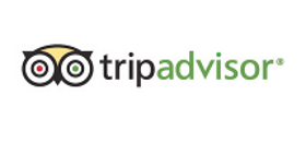 Use TripAdvisor to help make your travel guides