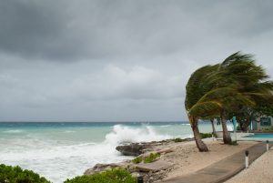 Weathering the Storm: Responding to Harvey, Jose and Irma